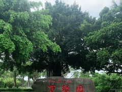 -万绿园