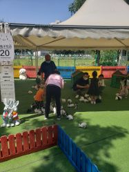 -萌宠亲子动物乐园(槐房万达店)