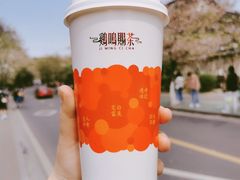 -鸡鸣赐茶(鸡鸣寺路店)