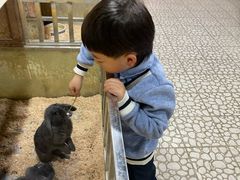 -上海大自然野生昆虫馆(东方明珠·爬宠昆虫探索中心)