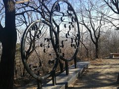 -北京鹫峰国家森林公园