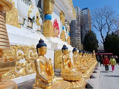 -护国法轮寺