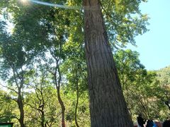 -天津盘山风景名胜区