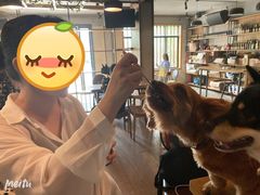 -萌喵咖啡屋(人民东路4号口M16商铺店)