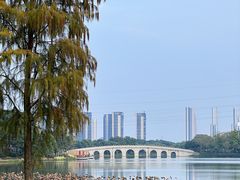 -顺峰山公园