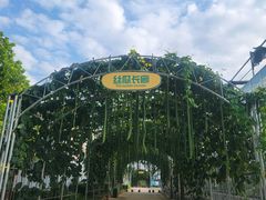 -北戴河集发农业梦想王国