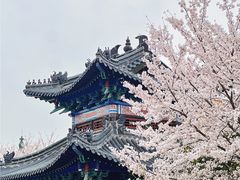 -三国水浒景区(无锡影视基地)
