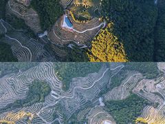 -天台国家森林公园水上茶乡九鹏溪