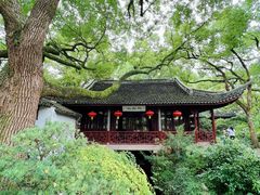 -上海醉白池公园