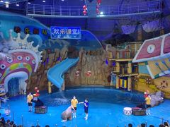 -烟台海昌鲸鲨海洋公园