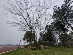 -庐山西海主景区