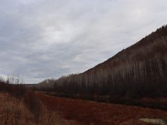 -北极村旅游风景区