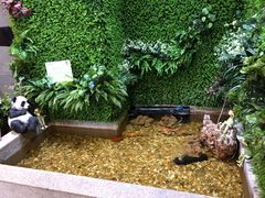 -松坂屋日料自助(长城路店)
