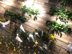-查特花园美食广场(西单大悦城店)