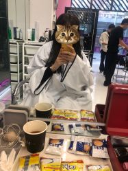 -MY HAIR ARDOR