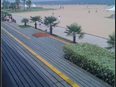 -碧海金沙