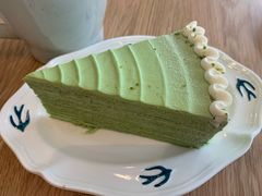 开心果千层-叶太YETAI(良库店)