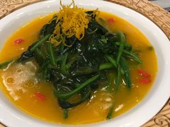 金汤菠菜-花家怡园