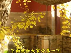 -回龙观体育文化公园