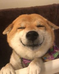 -丽都整形美容医院·全国连锁旗舰店