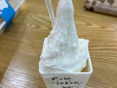 -野人先生Gelato(上海长宁龙之梦店)