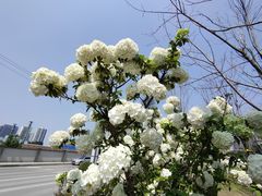 -大龙山(地铁站)