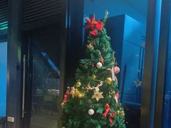 -盐说·西式餐酒馆(光明万达店)