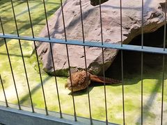 -宁波野生动物园