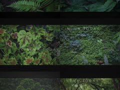 -中国科学院华南植物园
