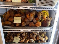 -野生菌火锅(菌王村店)
