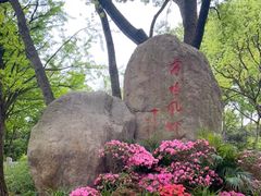 -上海方塔园