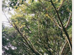-四川大学(望江校区)