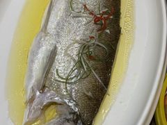 -大鹏饭店·金陵家宴(奥体中心店)