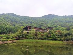 -桃花岭景区