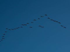 -野鸭湖国家湿地公园
