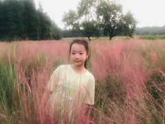 -艾溪湖湿地公园