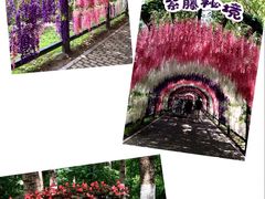 -沈阳鸟岛