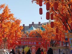 -沈阳方特欢乐世界