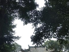 -嘉州九妹凤爪(乐山总店)