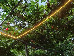 -伊隆斋(什刹海店)