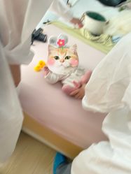 点击看大图 -玛瑞莎·儿童·亲子摄影(越秀店)