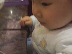 -瑞安辰茂阳光酒店自助餐