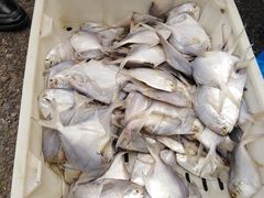 -江杨农产品批发市场