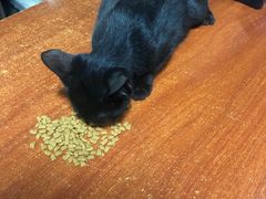 -鸿渡渔庄·特色鸭咀鱼