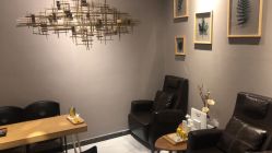 -三只熊皮肤管理中心