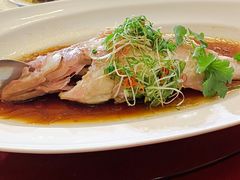 -上海和平饭店龙凤厅 Dragon Phoenix