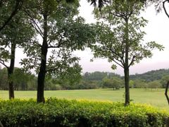 -福建鲤鱼洲酒店