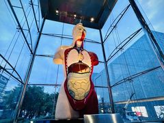 -乐天免税店(明洞店)