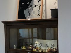 景观位-猫小主咖啡·猫咖cat cafe(福田店)
