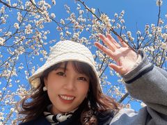 -香雪海